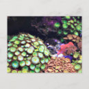 Recherche de barrière cartes postales Vacances