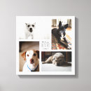 Recherche de os art Dog