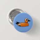 Recherche de étagère badges Oiseau