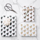 Recherche de chocolat labrador papier cadeau Anniversaire