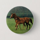 Recherche de jument badges Pur sang