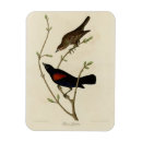 Recherche de à ailes magnets Image