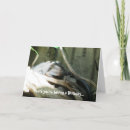 Recherche de iguane vœux cartes Animaux