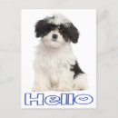 Recherche de chien noir cartes postales Chiens