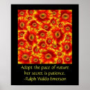 Recherche de marguerite de gerbera posters Marguerie