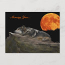 Recherche de animal mexicain cartes postales Animaux