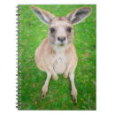 Recherche de kangourous carnets Joey