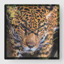 Recherche de leopard horloges Pour tous