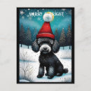 Recherche de chiot de vacances cartes postales Amoureux des animaux