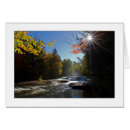 Recherche de brume photographie Automne