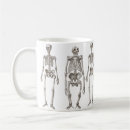 Recherche de squelettes tasses Squelette humain
