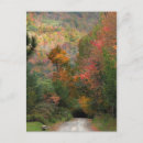 Recherche de chemin de terre cartes postales Bois