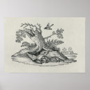 Recherche de histoire naturelle posters Gravure