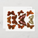 Recherche de zoologie posters Insecte