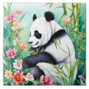 Recherche de ours blancs carreaux Animal