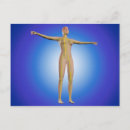 Recherche de système nerveux cartes postales Nerfs ulnaires