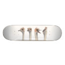 Recherche de peinture skateboards Nature