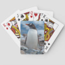 Recherche de neko jeux de cartes Antarctique