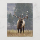 Recherche de nussbaumer de rolf Parc national