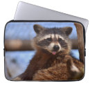 Recherche de raton laveur macbook housses Drôle