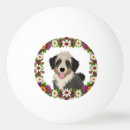 Recherche de cadre balles ping pong Illustration