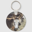Recherche de ânes porteclés Cheval