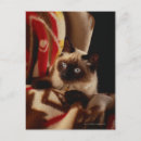 Recherche de corps cartes postales Chat domestique