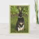 Recherche de rabbit vœux cartes Animal