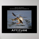 Recherche de humour canard Nature