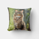 Recherche de maine coon coussins Félin