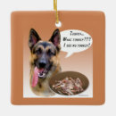 Recherche de berger allemand ornements Gsd