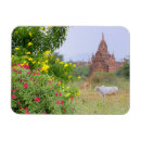 Recherche de birmans magnets Ancien