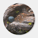 Recherche de courant magnets Arbres