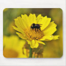 Recherche de pollen électronique Nature