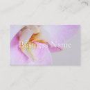 Recherche de orchidee cartes visite Blanc