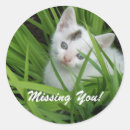 Recherche de manquez vous autocollants Nature