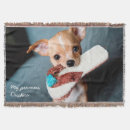 Recherche de chihuahua maison décorations Mignon