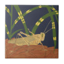 Recherche de herbe carreaux Insecte