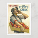 Recherche de tomatoe cartes postales Légume