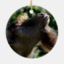 Recherche de chèvre drôle ornements Chèvres