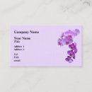 Recherche de phalaenopsis cartes visite Floral