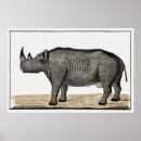 Recherche de rhinocéros noir posters Nature