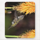Recherche de anna tapis souris Colibri