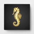 Recherche de hippocampe plaques Sauge