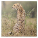 Recherche de guépard carreaux Safari