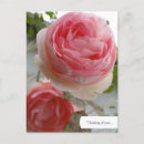 Recherche de cottage garden postcards cartes postales Anglais