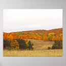 Recherche de palette de couleurs posters Nature