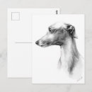 Recherche de whippet cartes postales Dessin