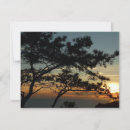 Recherche de california vœux cartes Photographie