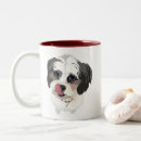 Recherche de shitzu tasses Chien